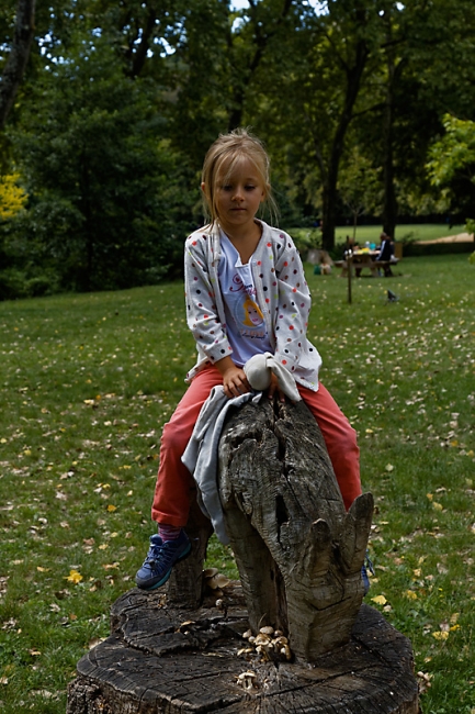 Famille et amis-SEP15-003